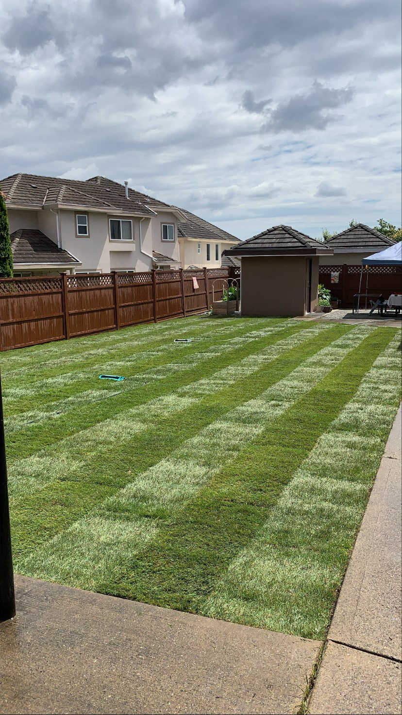 norskk-landscpaing-excavation-lawn-installation