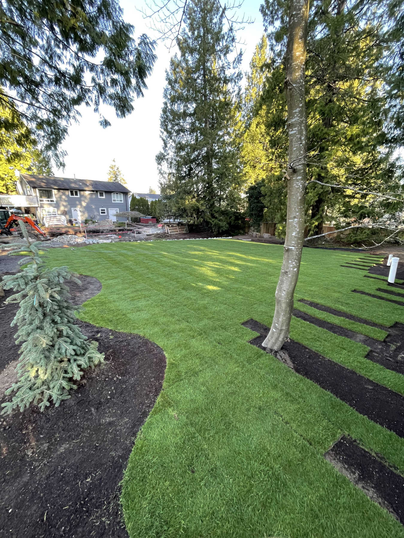 norskk-landscpaing-excavation-lawn-installation